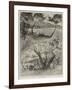 Royalty in South of France-Henry Edward Tidmarsh-Framed Giclee Print