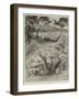 Royalty in South of France-Henry Edward Tidmarsh-Framed Giclee Print