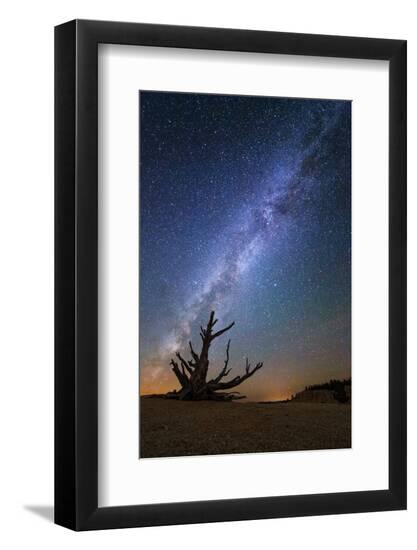 Photo, , large