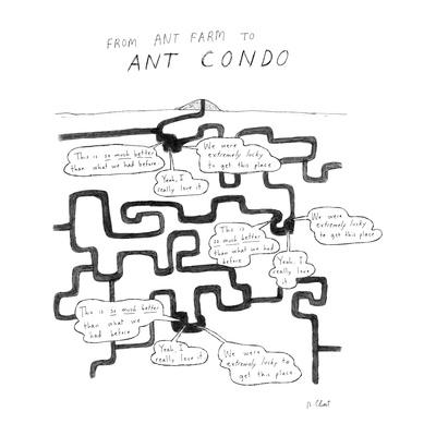 From Ant Farm to Ant Condo - New Yorker Cartoon