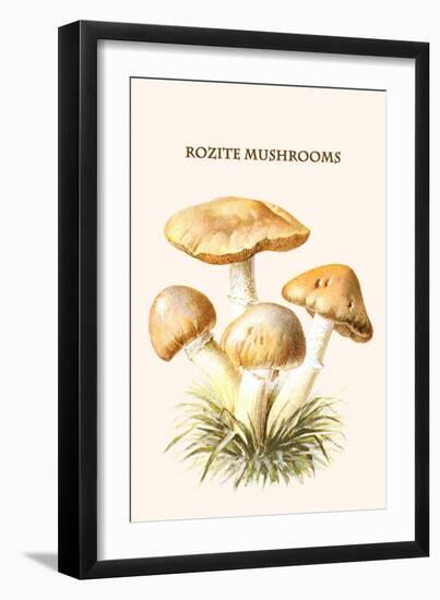 Rozite Mushrooms-Edmund Michael-Framed Art Print