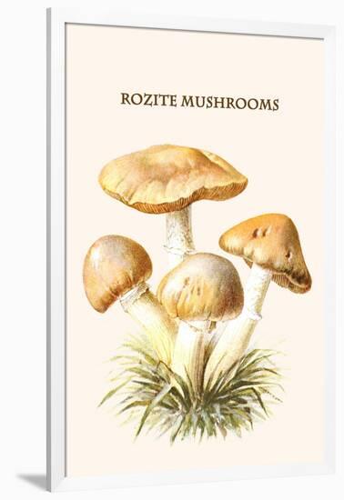 Rozite Mushrooms-Edmund Michael-Framed Art Print