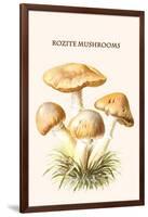 Rozite Mushrooms-Edmund Michael-Framed Art Print