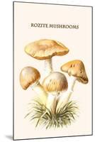 Rozite Mushrooms-Edmund Michael-Mounted Art Print