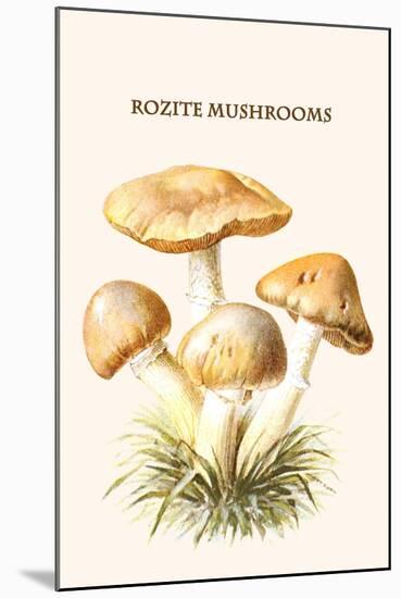 Rozite Mushrooms-Edmund Michael-Mounted Art Print