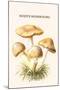 Rozite Mushrooms-Edmund Michael-Mounted Art Print