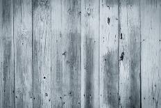 Wood Texture Background-rtsubin-Photographic Print