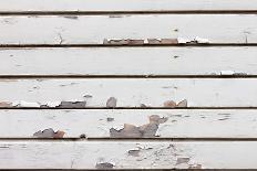 Wood Texture Background-rtsubin-Photographic Print
