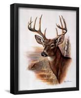 Ruane Manning (Fall Splendor Deer) Art Poster Print-null-Framed Poster