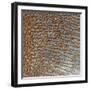 Rub' Al Khali, Arabia-Stocktrek Images-Framed Premium Photographic Print