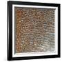 Rub' Al Khali, Arabia-Stocktrek Images-Framed Photographic Print