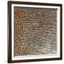 Rub' Al Khali, Arabia-Stocktrek Images-Framed Photographic Print