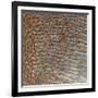 Rub' Al Khali, Arabia-Stocktrek Images-Framed Photographic Print