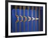 Rubber Band Boing-Alan Sailer-Framed Photographic Print