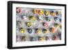 Rubber Duckies from Above-Robert Goldwitz-Framed Giclee Print