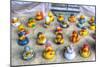 Rubber Duckies-Robert Goldwitz-Mounted Giclee Print