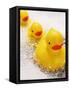 Rubber Ducks in Bath-John Miller-Framed Stretched Canvas