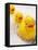 Rubber Ducks in Bath-John Miller-Framed Stretched Canvas