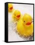 Rubber Ducks in Bath-John Miller-Framed Stretched Canvas