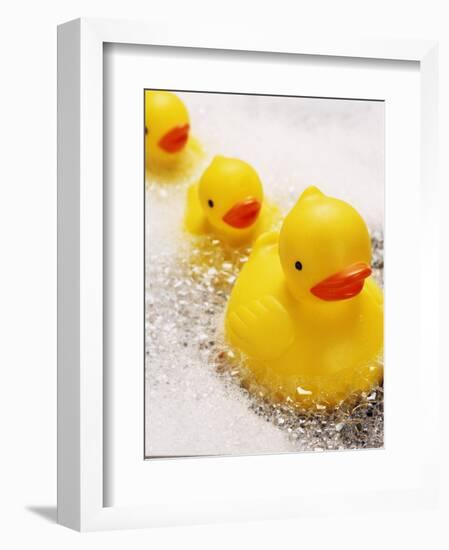 Rubber Ducks in Bath-John Miller-Framed Photographic Print