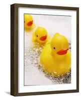 Rubber Ducks in Bath-John Miller-Framed Photographic Print