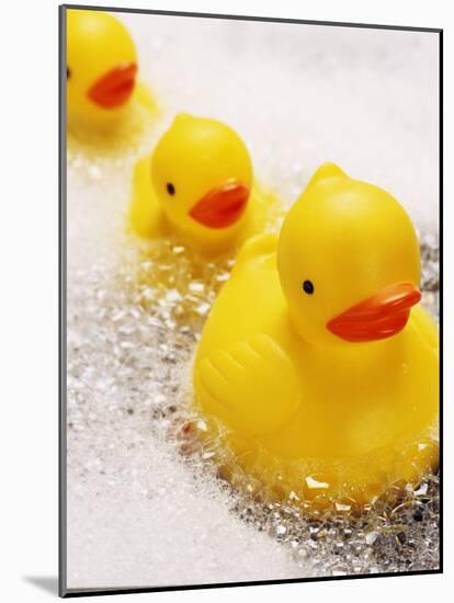 Rubber Ducks in Bath-John Miller-Mounted Photographic Print