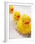 Rubber Ducks in Bath-John Miller-Framed Photographic Print