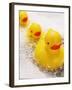 Rubber Ducks in Bath-John Miller-Framed Photographic Print