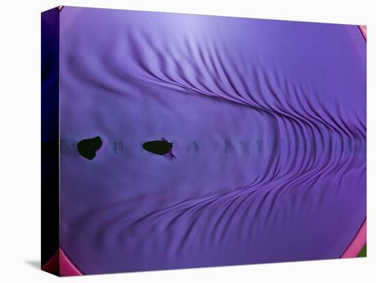 Rubber Wave-Alan Sailer-Stretched Canvas