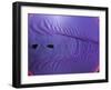 Rubber Wave-Alan Sailer-Framed Premium Photographic Print
