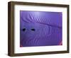 Rubber Wave-Alan Sailer-Framed Photographic Print