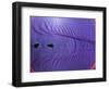 Rubber Wave-Alan Sailer-Framed Photographic Print