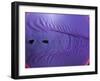 Rubber Wave-Alan Sailer-Framed Photographic Print