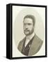 Ruben Dario (1867-1916)-null-Framed Stretched Canvas