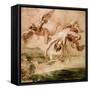 Rubens:Fall Of Icarus 1637-Peter Paul Rubens-Framed Stretched Canvas