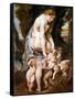 Rubens: Venus, C1606-09-Peter Paul Rubens-Framed Stretched Canvas