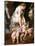 Rubens: Venus, C1606-09-Peter Paul Rubens-Stretched Canvas