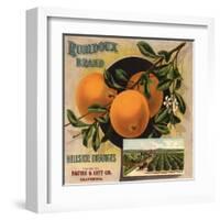 Rubidoux Brand - California - Citrus Crate Label-Lantern Press-Framed Art Print