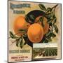 Rubidoux Brand - California - Citrus Crate Label-Lantern Press-Mounted Art Print