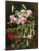 Rubrum Lilies and Fuchsias-Johan Laurentz Jensen-Mounted Giclee Print