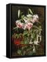 Rubrum Lilies and Fuchsias-Johan Laurentz Jensen-Framed Stretched Canvas