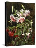 Rubrum Lilies and Fuchsias-Johan Laurentz Jensen-Stretched Canvas