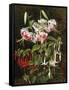 Rubrum Lilies and Fuchsias-Johan Laurentz Jensen-Framed Stretched Canvas