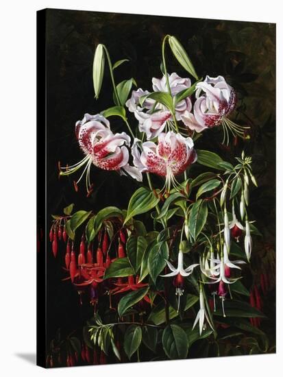 Rubrum Lilies and Fucshias-Johan Laurentz Jensen-Stretched Canvas