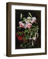 Rubrum Lilies and Fucshias-Johan Laurentz Jensen-Framed Giclee Print