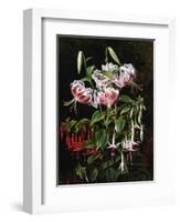 Rubrum Lilies and Fucshias-Johan Laurentz Jensen-Framed Giclee Print