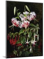 Rubrum Lilies and Fucshias-Johan Laurentz Jensen-Mounted Giclee Print