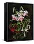 Rubrum Lilies and Fucshias-Johan Laurentz Jensen-Framed Stretched Canvas