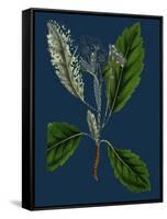 Rubus Idaeus; Raspberry-null-Framed Stretched Canvas
