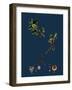 Rubus Radula; File-Stemmed Bramble-null-Framed Premium Giclee Print